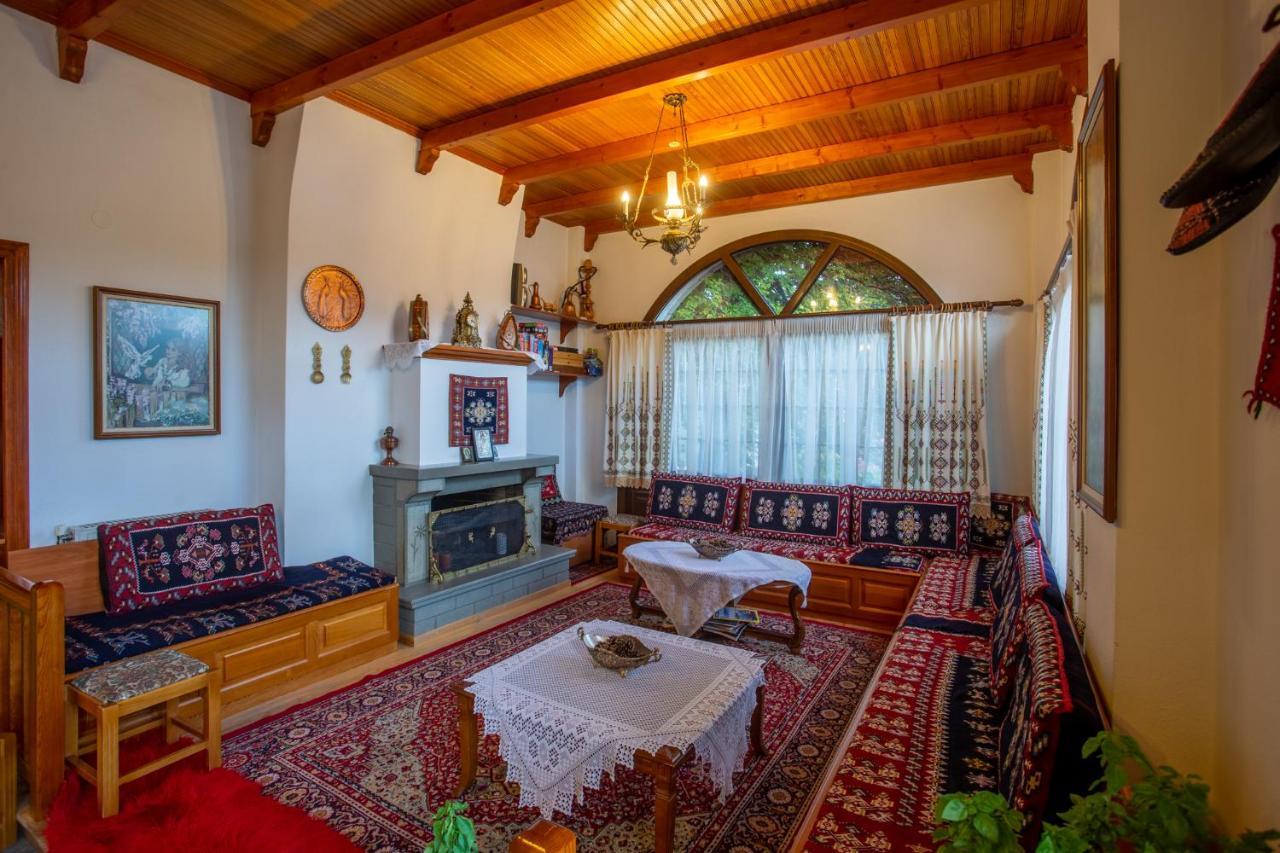 Hotel Adonis Metsovo Ngoại thất bức ảnh